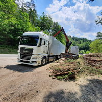 Holztransport von Peter Moser