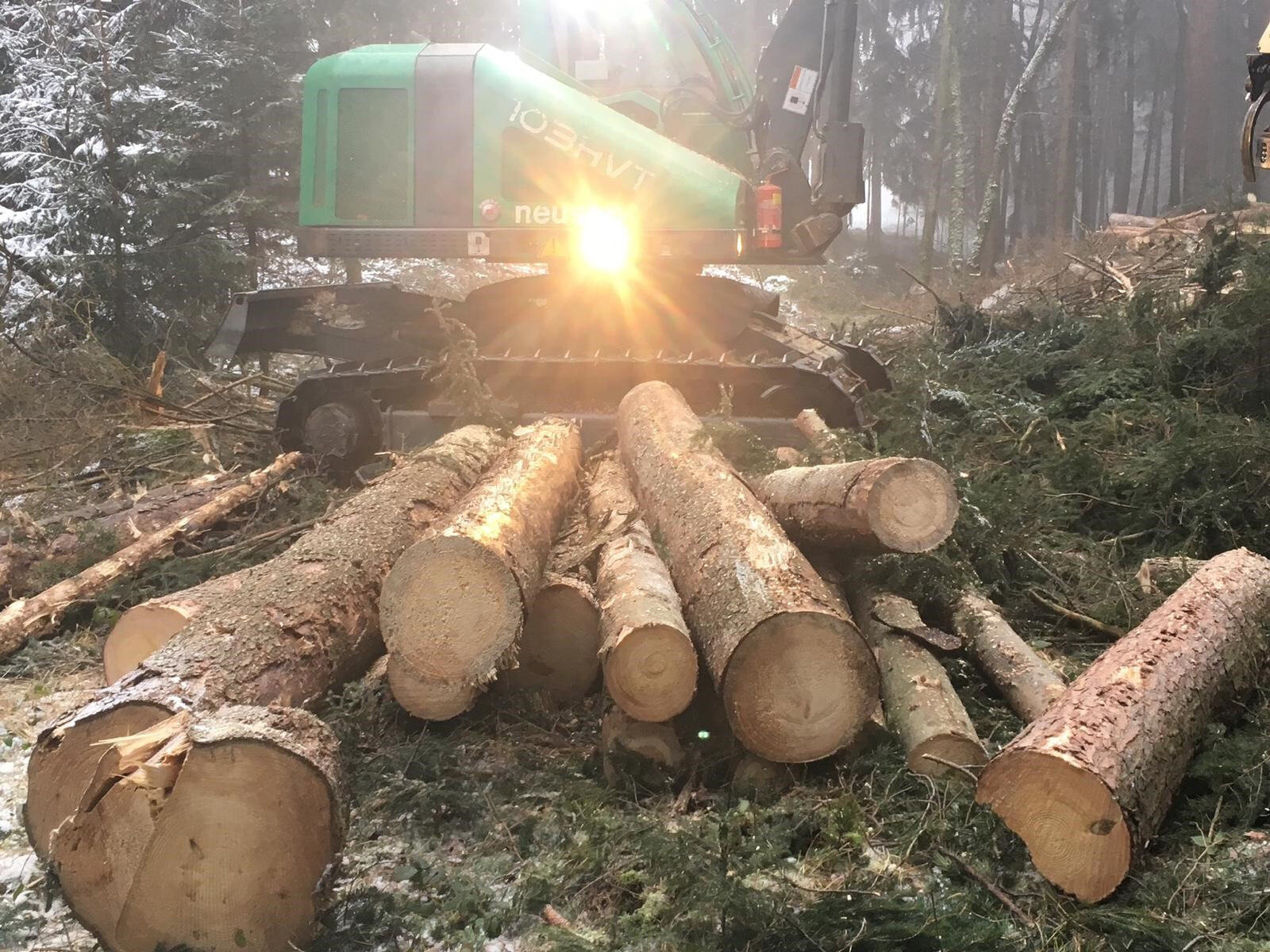 Holzschlägerung von Peter Moser Holzvermittlung