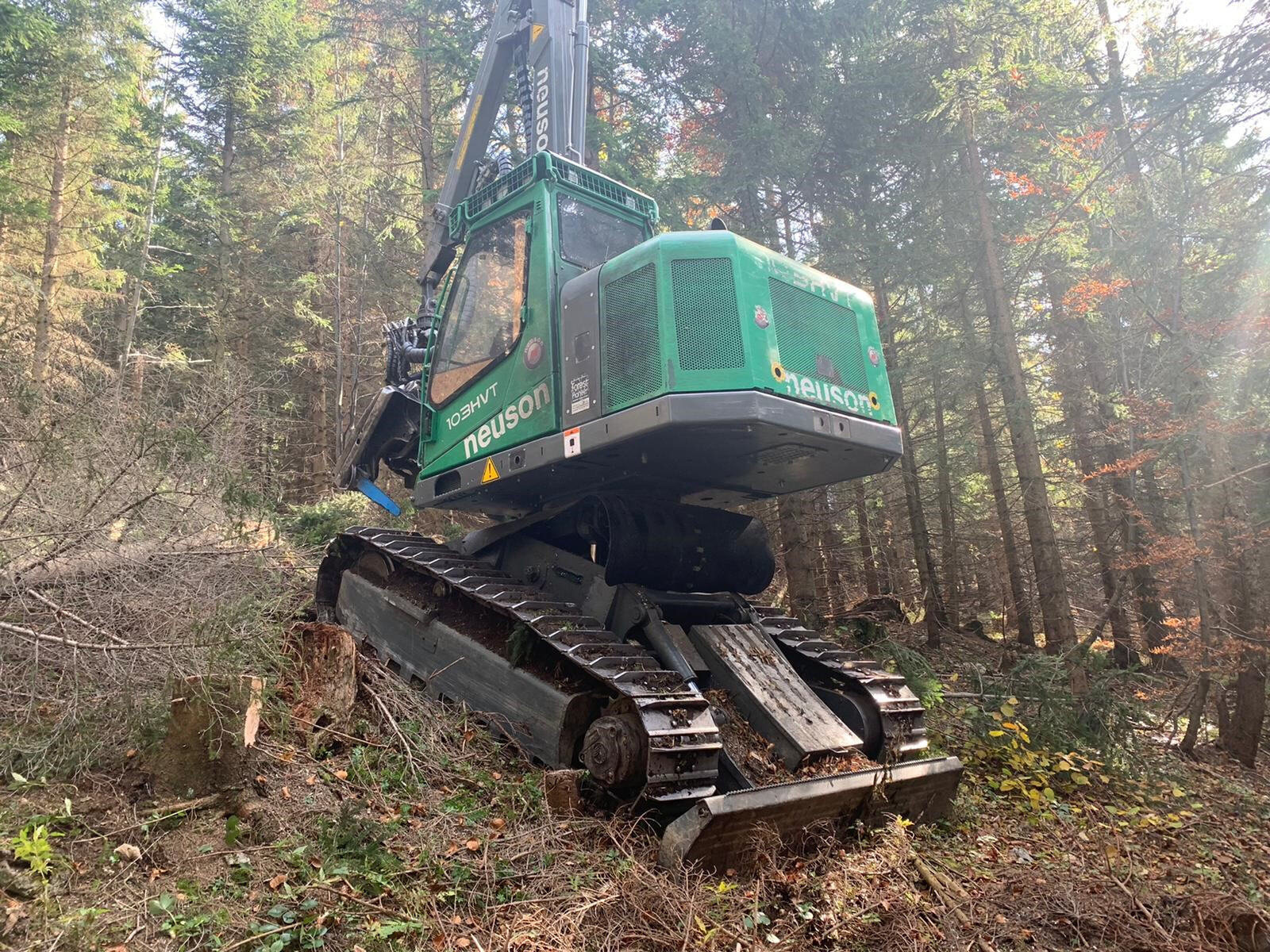 Bagger von Peter Moser Holzvermittlung