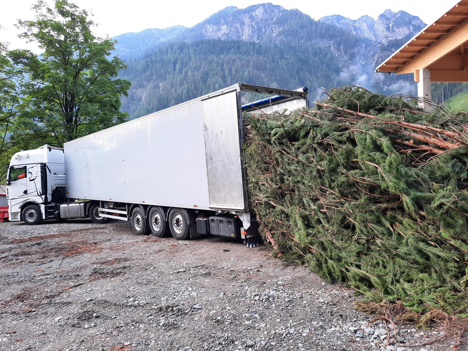 Holzlieferung von Peter Moser