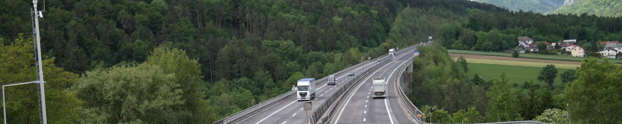 Lastwagen von Peter Moser Holzvermittlung