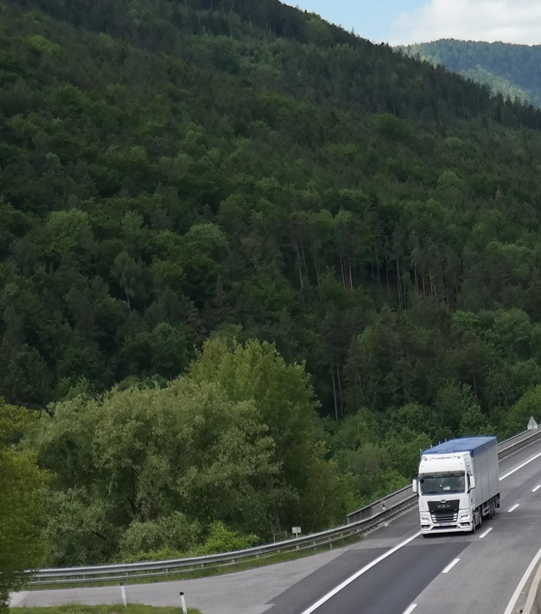 Peter Moser Holzvermittlung Lastwagen