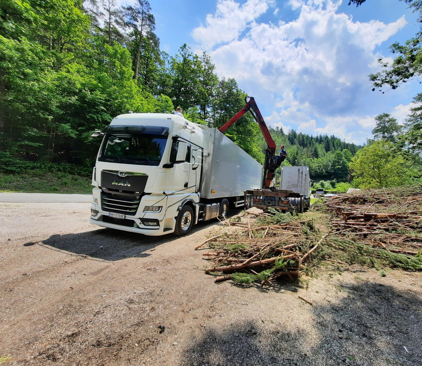 Holztransport von Peter Moser